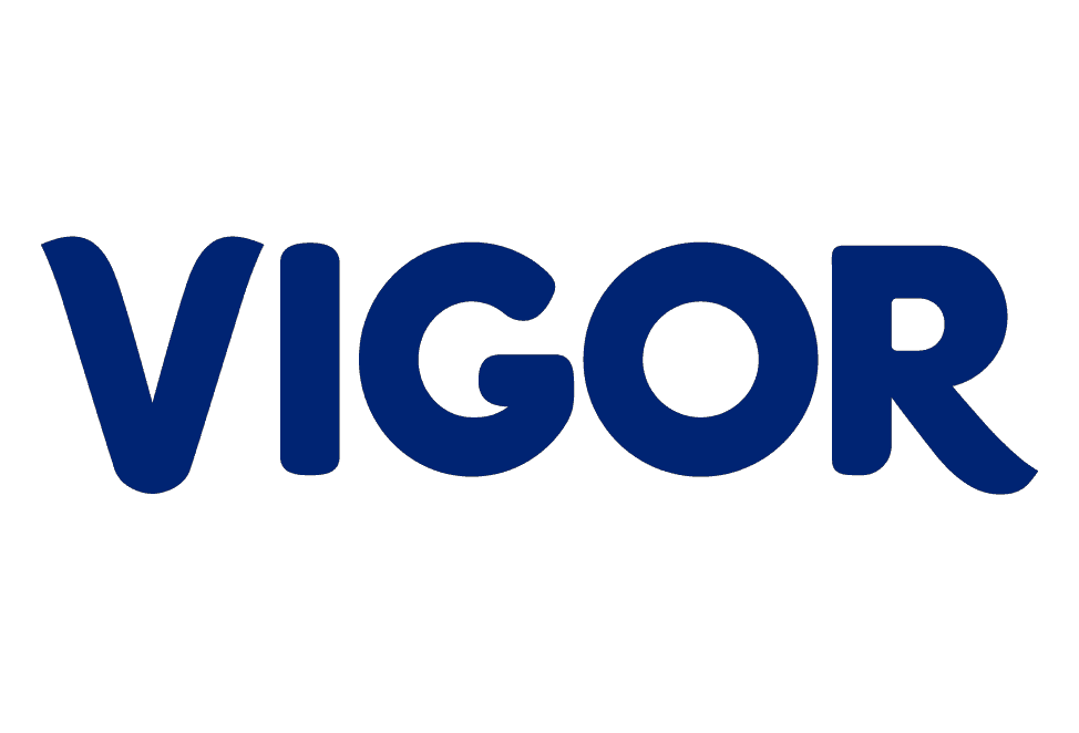 Logo Vigor